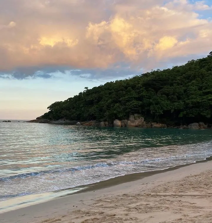 Costa de Trindade ao entardecer, com a mata descendo até o mar