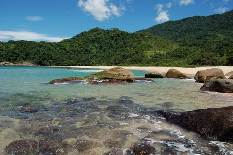 Praia de água transparente com pedras arredondadas e a mata ao fundo